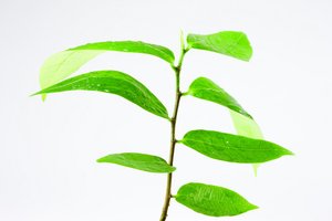 服务进阶技巧分享